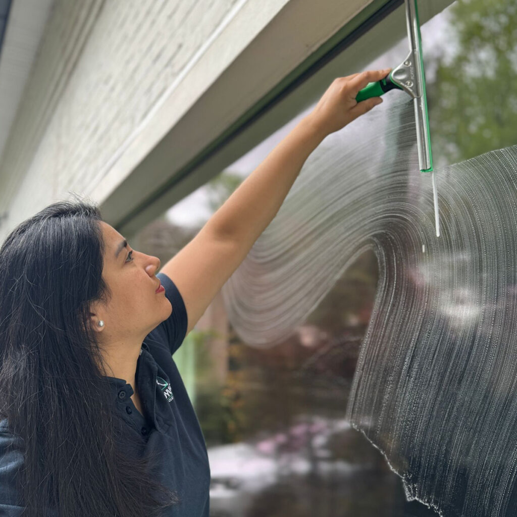 Professionele schoonmaak - Glasreiniging
